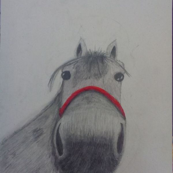 Anna Strojná - Portrét koně